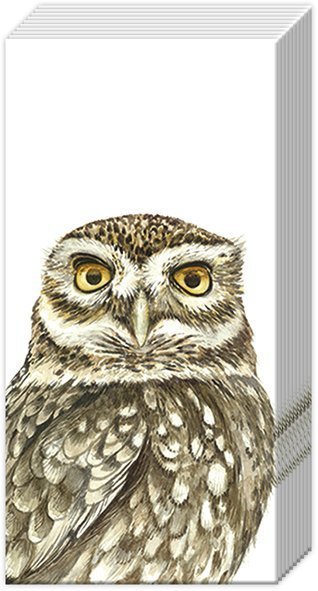 Kauz Eule Uhu Owl View Papiertaschentücher