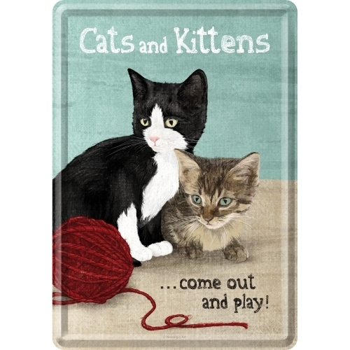 Katze Katzenbaby Kittens Metallschild Karte