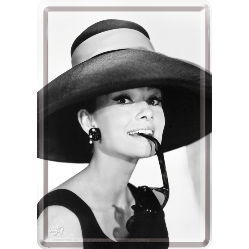 Audrey Hepburn Grande Dame Metallschild Karte