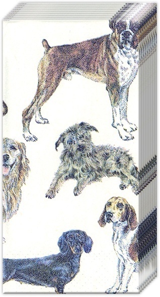 Hund Boxer Dackel Schäferhund Taschentücher
