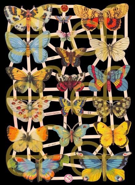 Schmetterling Falter Poesiebogen Glanzbilder